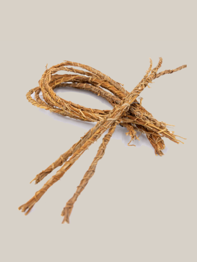 5 Tiges de Vétiver – L’Élixir Naturel du Bien-Être