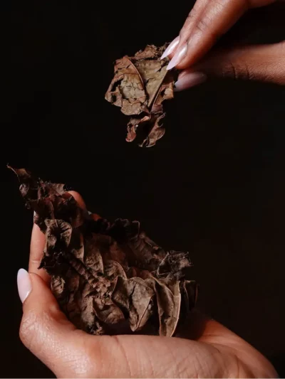 Tisane Bien-être et intimité – Djeka