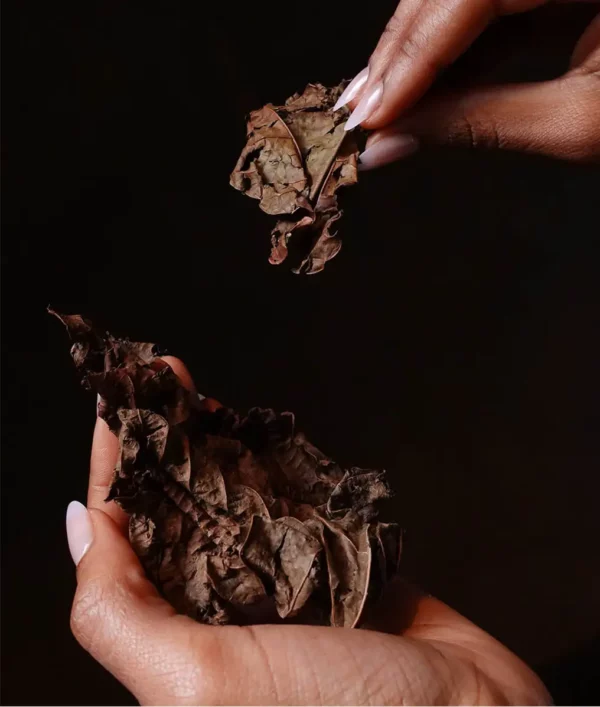 Tisane Bien-être et intimité - Djeka