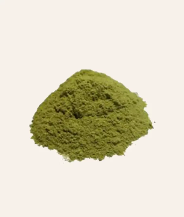 Super-aliment - Poudre de Moringa – Image 2