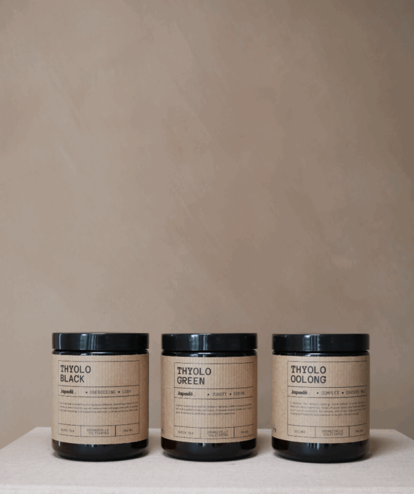 Thyolo Set – Green, Oolong & Black Teas from Malawi
