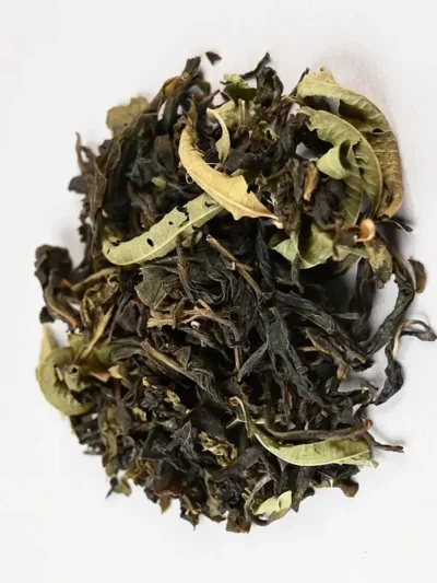 Green Verbena – Verveine Verte