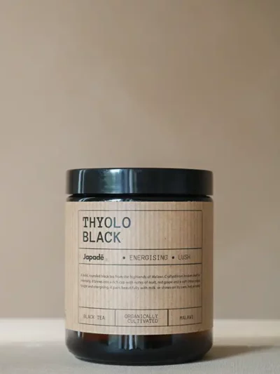 Thyolo Black – Thé noir du Malawi