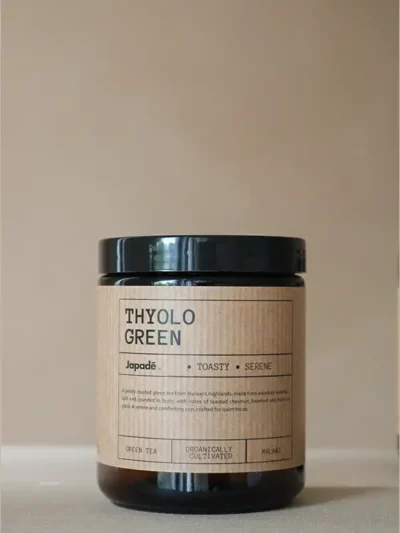 Thyolo Green – Thé vert du Malawi
